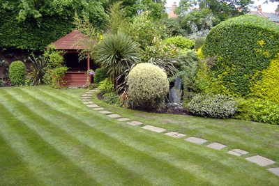 fresh mowed lawn in residential garden with stone path by Bizzy in the Garden