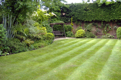 Garden Design in Loughton | Bizzy in the Garden gallery image 5